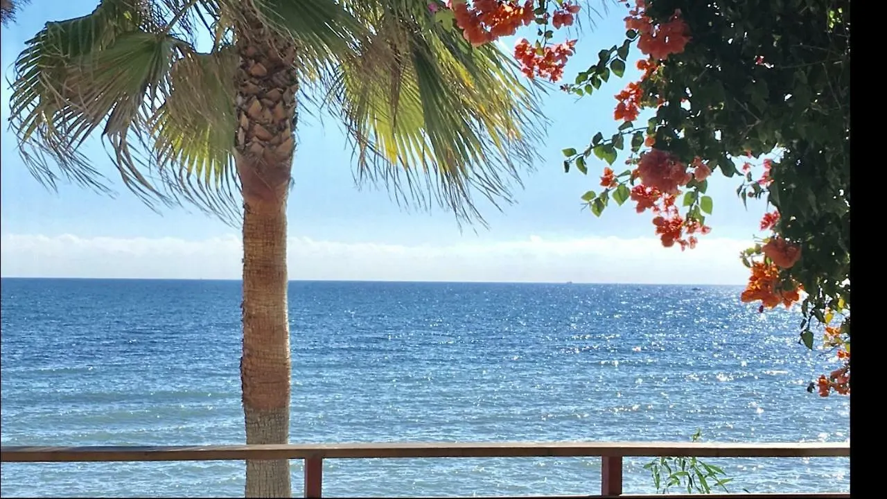 Mi Capricho Beachfront- P301 Apartment With Sea View Sitio de Calahonda